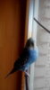 IMG_20171112_112736_1.jpg