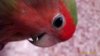 IMG-20171112-WA0002.jpg