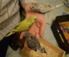 DSC_4736.JPG