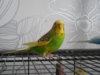DSCN0642.JPG
