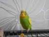 DSCN0646.JPG