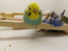 20171114_130217.jpg