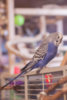 _DSC9124@0,5x.jpg