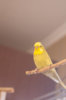 _DSC9118@0,25x.jpg