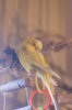 _DSC9175@0,25x.jpg