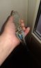 20171103_084558.jpg