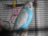 DSCN0678.JPG