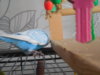 DSCN0679.JPG