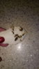 IMG-20171118-WA0002.jpeg
