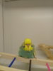 20171118_184659.jpg