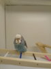 20171118_184917.jpg
