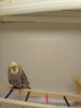 20171118_190447.jpg