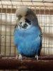 20171117_145444.jpg