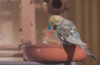 _DSC9349@0,25x.jpg