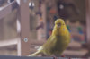_DSC9436@0,25x.jpg