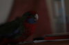 IMG_2776.JPG