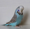 00 IMG_7037 — копия.JPG