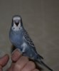 DSC_4821.JPG