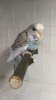 IMG-20171124-WA0043.jpeg