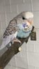 IMG-20171124-WA0045.jpeg