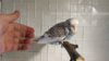 IMG-20171124-WA0041.jpeg