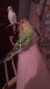 IMG-20171126-WA0063.jpeg