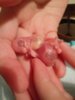 IMG_20171127_220747[1].jpg