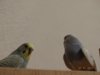 DSC02152.JPG