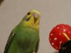 DSC02148.JPG