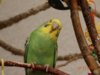 DSC02146.JPG
