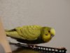 DSC02135.JPG
