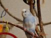 DSC02133.JPG