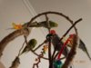 DSC02151.JPG