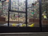 P71128-184603.jpg
