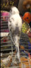 9E9FD539-1352-4CB5-9AC2-FB1E1169D804.jpeg