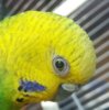 IMG_20171130_183417.jpg