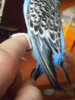 PC012434.JPG