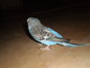 PC012411.JPG