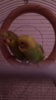 IMG-20171203-WA0040.jpeg