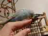 DSC02171.JPG