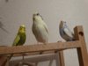 DSC02155.JPG