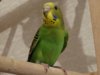 DSC02163.JPG