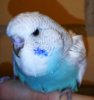 IMG_20171207_093938.jpg