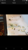 D8555D18-E268-4448-BC7B-EEB4BB0DAC45.png