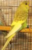 IMG_20171214_115732.jpg