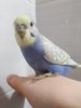 20170404_144125.jpg
