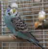 IMG_8365.JPG