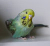 00  IMG_5309.JPG
