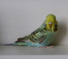 00 IMG_5547.JPG