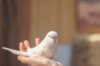 _DSC9865@0,25x.jpg